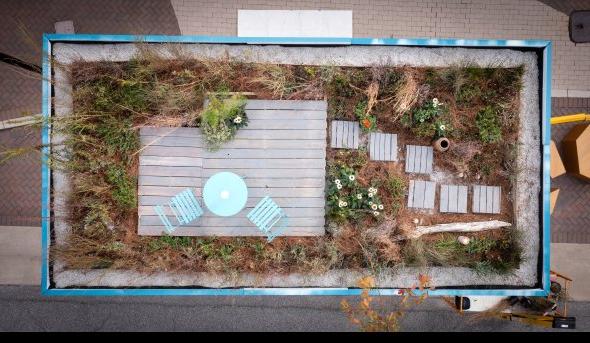 Photo of plants on top of a shipping container.