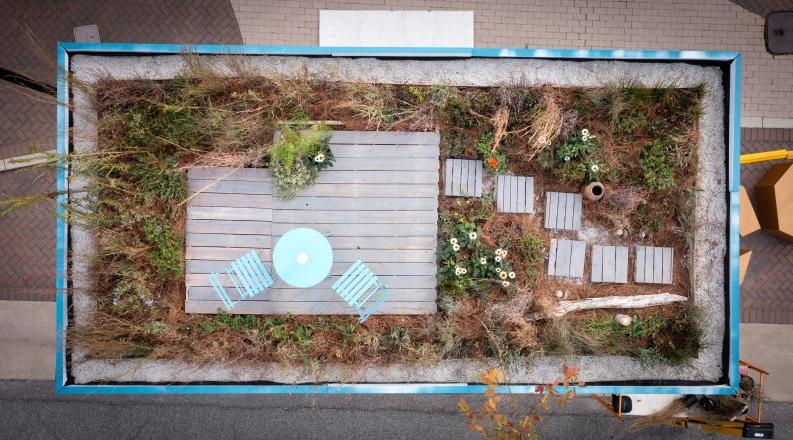 Photo of plants on top of a shipping container.